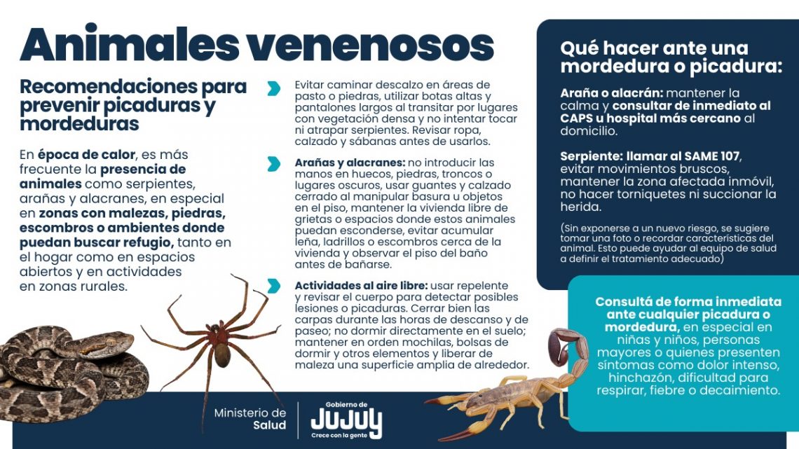 Campaña de prevención sobre animales venenosos